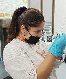 Arely Y. Cubas Hernndez